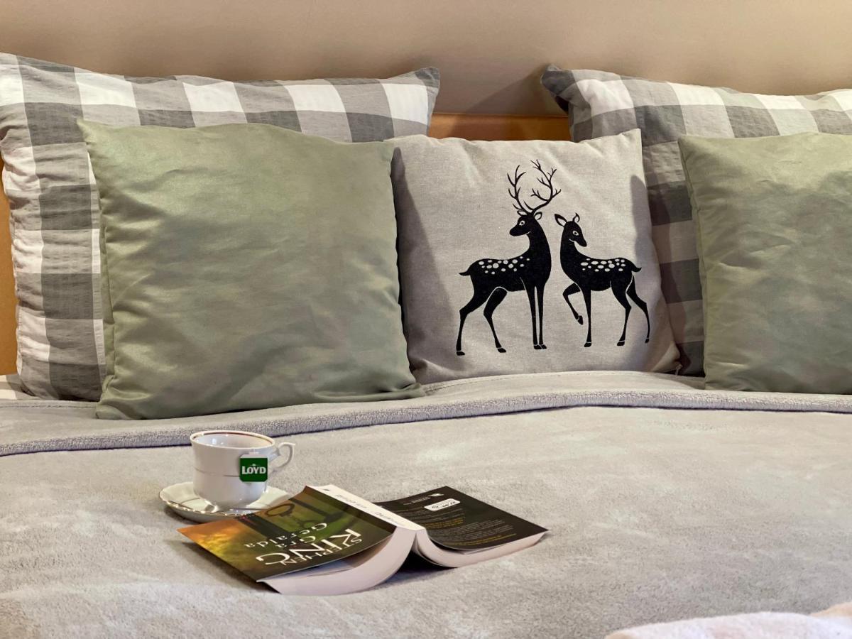 Dolina Sarenek Otel Sejny Dış mekan fotoğraf