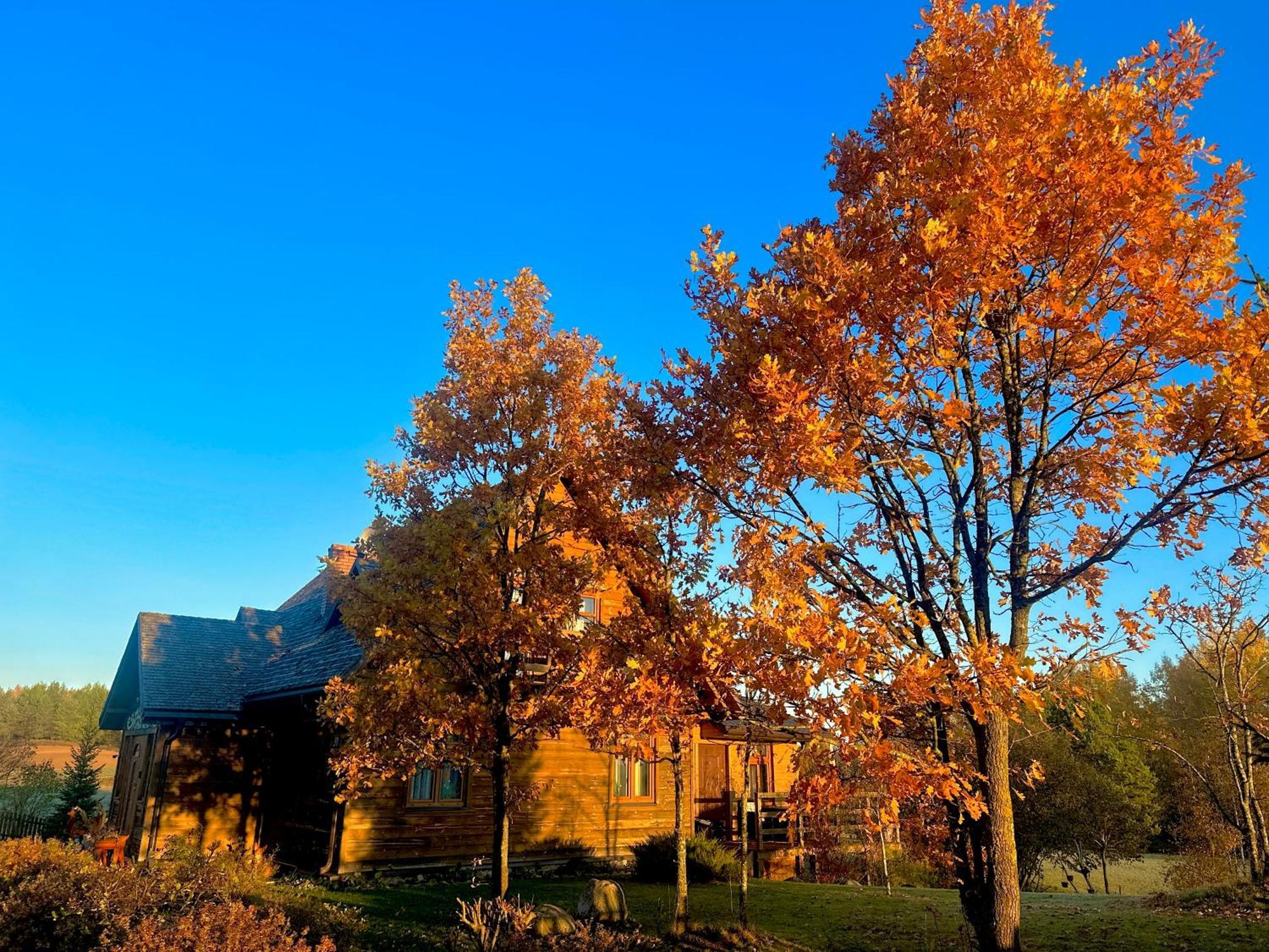 Dolina Sarenek Otel Sejny Dış mekan fotoğraf